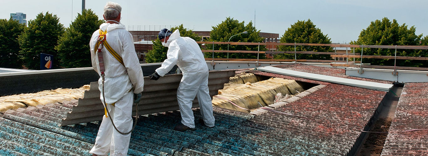 Asbestos Abatement In Florida Schools photo
