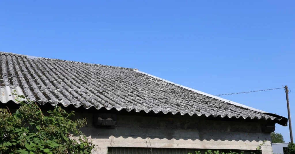 Residential Asbestos Removal Cost